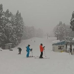 nCp[{EXL[NO.2lyAtgHtyl12+H2zy1366202z