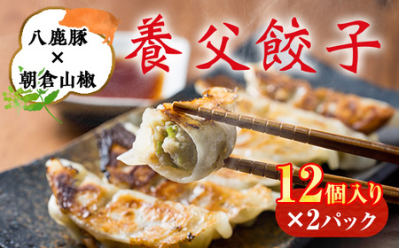 八鹿豚味わう養父餃子(要冷凍/12個入り)×2パック[配送不可地域:離島]
