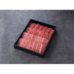 _ˋ@~Ԑgē@450gyϔzyzsnFzy1428130z