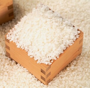 yU zOgRVqJ  (10kg × 6)