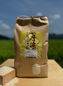 特別栽培米 丹波コシヒカリ 5kg