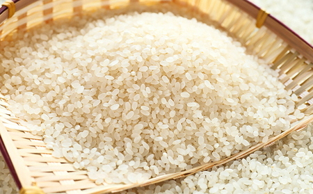 ܂邫̒OgЂݕāu~L[NC[v5s