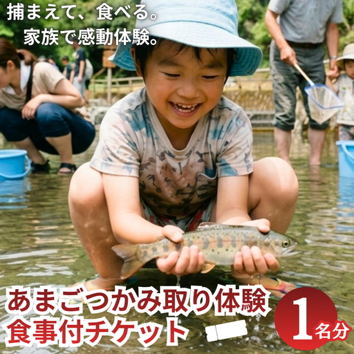 あまごつかみ取り 調理込み体験チケット 1名様分 唐揚げ塩焼き おにぎり付き 家族旅行 夏休み思い出作り あまご釣り