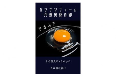 丹波奥郷の卵 やまぶき 45個+5個破卵補償 (約3kg)