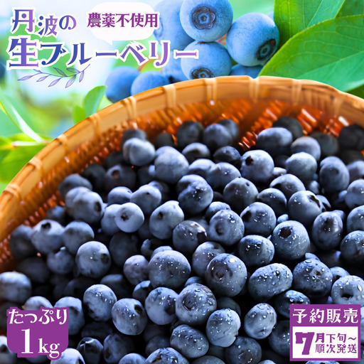 ブルーベリー 生果実 1kg 先行予約 生ブルーベリー 無農薬 丹波市産 7月下旬発送