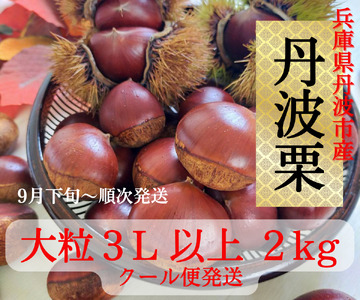 丹波栗 3L以上 2kg