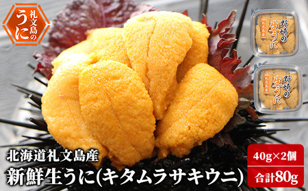 [先行予約] 北海道 礼文島産 新鮮生うに( キタムラサキウニ )40g×2個 ウニ 雲丹