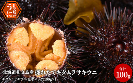 [先行予約] 北海道 礼文島産 採れたて キタムラサキウニ 塩水パック 100g×1 生うに 生ウニ 塩水うに