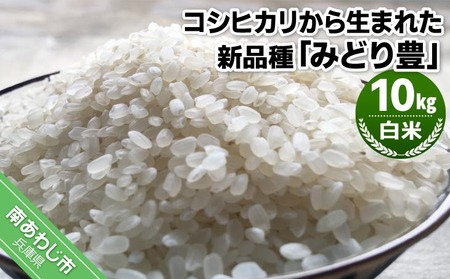 【令和7年産】農薬・化学肥料不使用 白米10kg みどり豊(コシヒカリ)