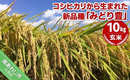 ߘaVNYEāw݂ǂLx10kg@10{甭