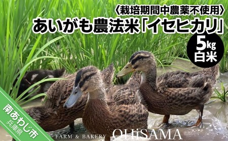 令和7年産 イセヒカリ 5kg 白米[栽培期間中農薬不使用 あいがも農法米]