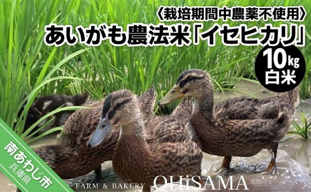 �ߘa7�N�Y�@�C�Z�q�J���@10kg�i5kg×2�j�@���āq�͔|���Ԓ��_��s�g�p�@���������_�@�ār