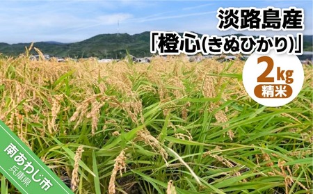 令和7年度産 新米 淡路島産「橙心(きぬひかり)」 精米2kg ◆配送9月末〜