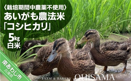 令和6年産 コシヒカリ 5Kg 白米 栽培期間中農薬不使用 あいがも農法米