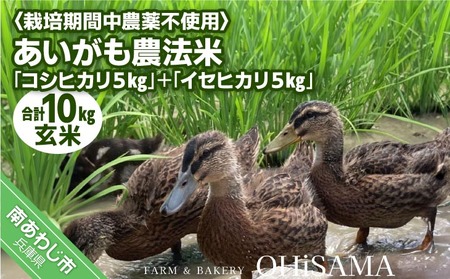 令和6年産 コシヒカリ5Kg+イセヒカリ5Kg 玄米 栽培期間中農薬不使用 あいがも農法米