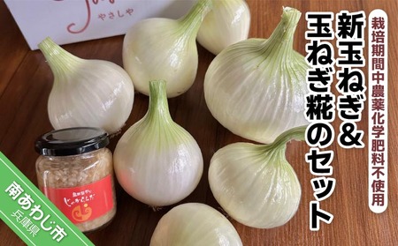 有機農法で栽培(栽培期間中農薬化学肥料不使用)新玉ねぎ&玉ねぎこうじのセット