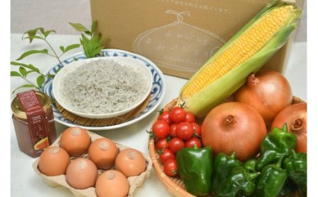 「島のめぐみ」セット〜南あわじ旬の食材〜(1回)