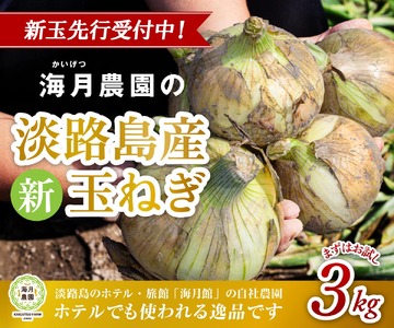 [予約販売]海月館 自社農場栽培!淡路島産 新玉ねぎ 3kg