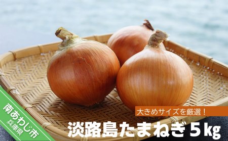 淡路島たまねぎ 5kg