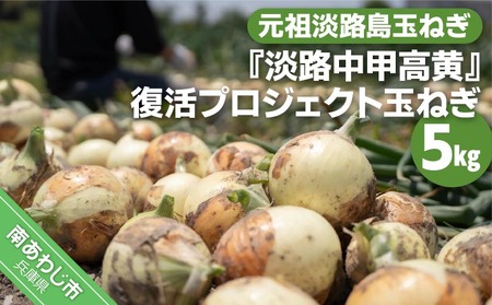 元祖淡路島玉ねぎ『淡路中甲高黄』復活プロジェクト 玉ねぎ5kg ◆配送6月〜
