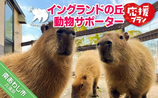 【イングランドの丘】動物サポーター《応援プラン》