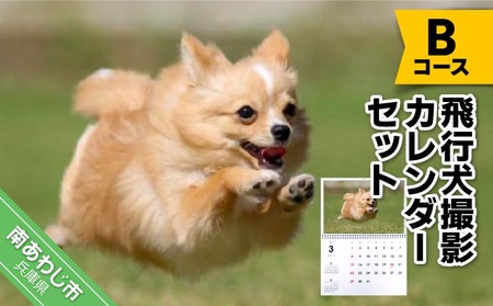 Bコース 飛行犬撮影カレンダーセット