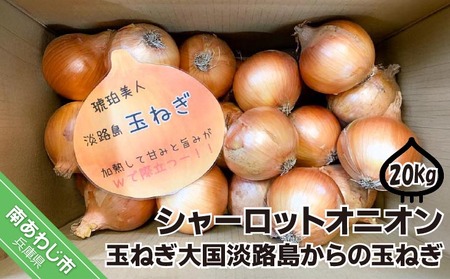 WHɏnʔK20kg@V[bgIjI@ʂ˂卑WH̋ʂ˂