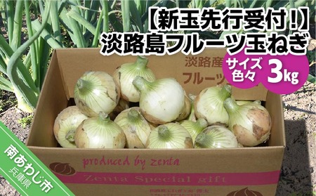 【新玉予約・サイズ色々】淡路島フルーツ玉ねぎ３kg