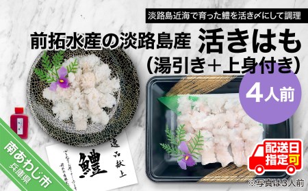 淡路島産活きはも（湯引き＋上身付き）4人前　◆配送6月3日～8月30日