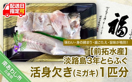 淡路島3年とらふぐ 活身欠き[ミガキ・1匹分]◆配送10月8日〜3月31日