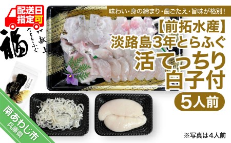 [前拓水産]淡路島3年とらふぐ(活てっちり/白子付5人前)◆配送12月2日〜2月28日