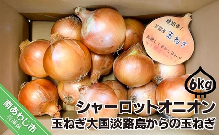 WHɏnʔK6kg@V[bgIjI@ʂ˂卑WH̋ʂ˂