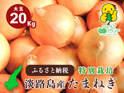 【あさひサンファーム】【大玉 20㎏】ひょうご安心ブランド★特別栽培★淡路島たまねぎ