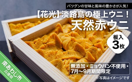 【花光】淡路島の極上ウニ！天然赤ウニ（板入3枚）【無添加・ミョウバン不使用・7月～9月期間限定】