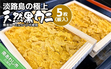 \tyԌzWH̋ɏEjIVREjiTjyYE~EosgpE/ʌzR{ȍ~Jn