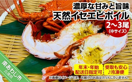 yԌzyNNnzwzCV̉lIVRCZGr{Ci2`3jySⓀցz