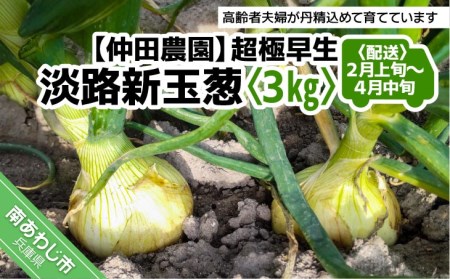 [新玉予約!][仲田農園]超極早生新玉葱「福寿玉ねぎ」3kg◆配送2月上旬〜4月中旬