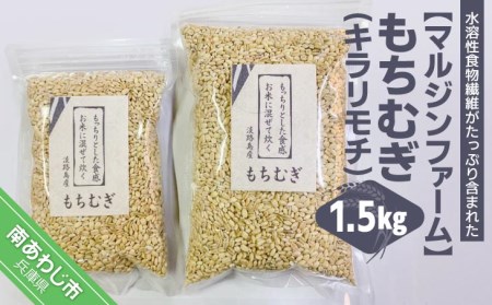 淡路島 南あわじ産 もちむぎ(キラリモチ)1.5kg