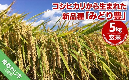 令和6年産・玄米『みどり豊』5kg 10月初旬頃から発送