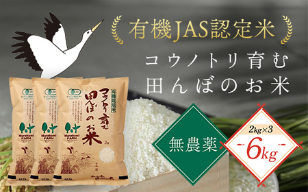 [令和6年新米先行予約 / 9月中旬発送開始予定]無農薬 有機JAS認定米 コウノトリ育む田んぼのお米 2kg×3袋 [村上ファーム]