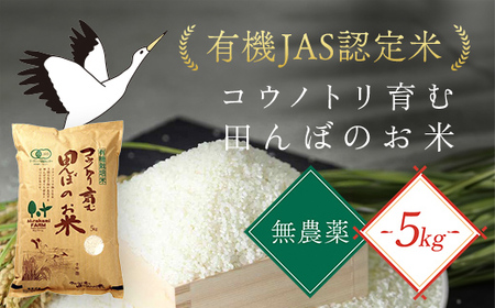 [令和6年新米先行予約 / 9月中旬発送開始予定]無農薬 有機JAS認定米 コウノトリ育む田んぼのお米 5kg (5kg×1袋)[村上ファーム]AS1BG9