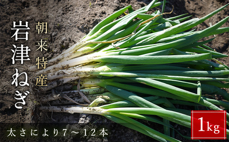 朝来市特産 岩津ねぎ 1kg (太さにより7〜12本) MLサイズ混載 AS51AB57-1