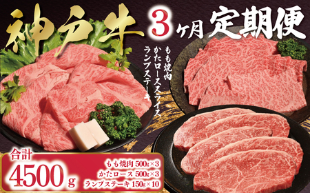 �_�ˋ� 3���� ����� ���v4,500g AS53LAA2-0