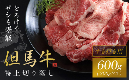 [但馬牛]特上切り落し300g×2パック(すき焼き用) AS1CA14