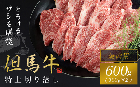 [但馬牛]特上切り落し300g×2パック(焼肉用) AS1CA15