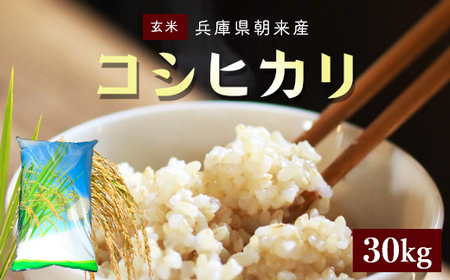 朝来産コシヒカリ米(30kg)[玄米] AS4DE1
