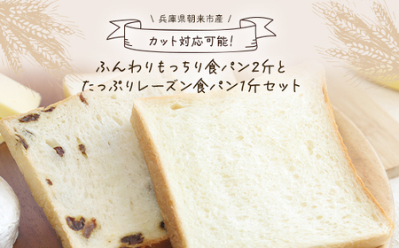 食パン 10斤の返礼品 検索結果 | ふるさと納税サイト「ふるなび」