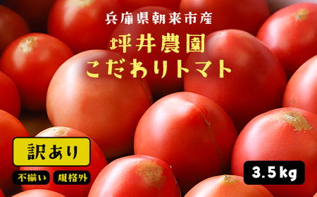 7月3日まで!!!坪井農園 こだわりトマト[訳あり]3.5kg 期間限定 限定 トマト とまと 訳あり 訳アリ 不揃い ふぞろい 不揃い とまと 期間限定 人気 規格外 3.5キロ 3500g 大容量 兵庫県 朝来市 AS2AB17