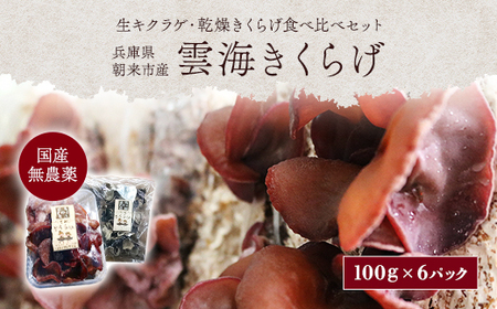 『生きくらげ』『乾燥きくらげ』食べ比べセット(生500g+乾燥60g)[農薬不使用]朝来市産『雲海きくらげ』 きくらげ キクラゲ 木耳 生キクラゲ 木耳 乾燥 セット 食べ比べ 詰め合わせ きのこ 無農薬 兵庫県 朝来市 AS2BA3