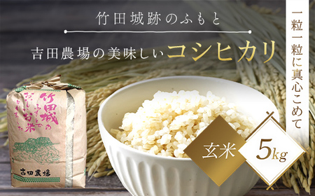 [令和6年産 新米]竹田城跡の麓 吉田農場の美味しいコシヒカリ(玄米)5kg 兵庫県 朝来市 AS1AD1 お米 米 おこめ ごはん ご飯 こしひかり 玄米 新米 コシヒカリ